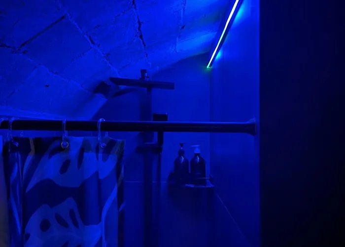 The Shelter *